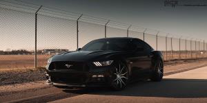 Bmw Dealers Long Island >> Gallery - Niche Wheels Bmw Dealers Long Island >> Gallery - Niche Wheels